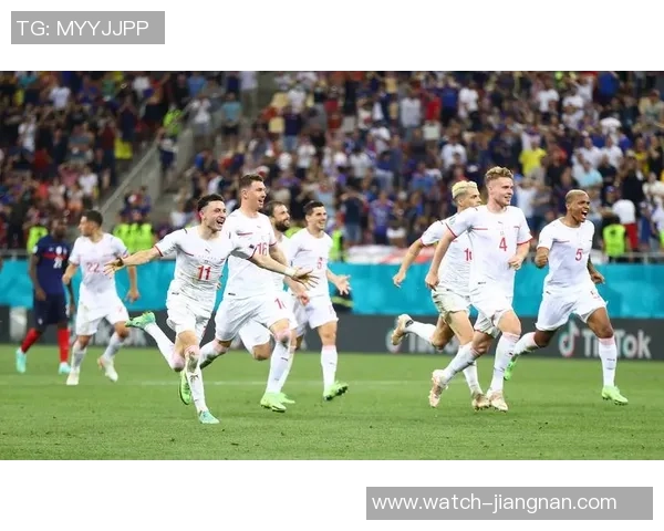 瑞士足球队最新阵容分析及球员表现评估